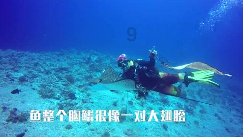 影视工厂